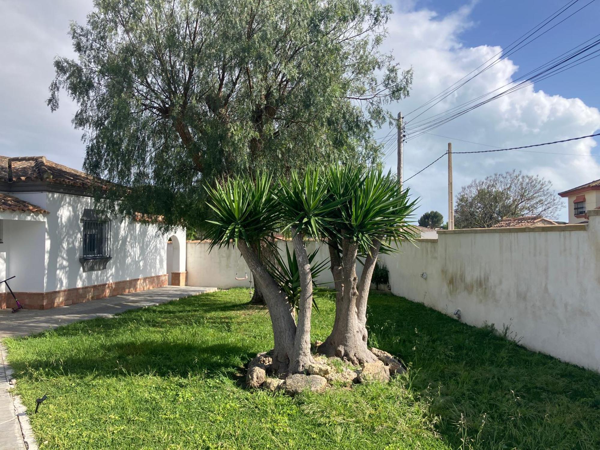 Chalet En Chiclana Novo Sancti Petri Ngoại thất bức ảnh